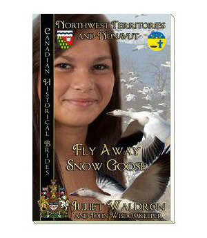 Fly Away Snow Goose book cover