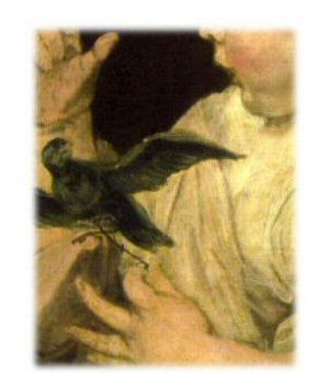 detail of child and bird by Van Dyck